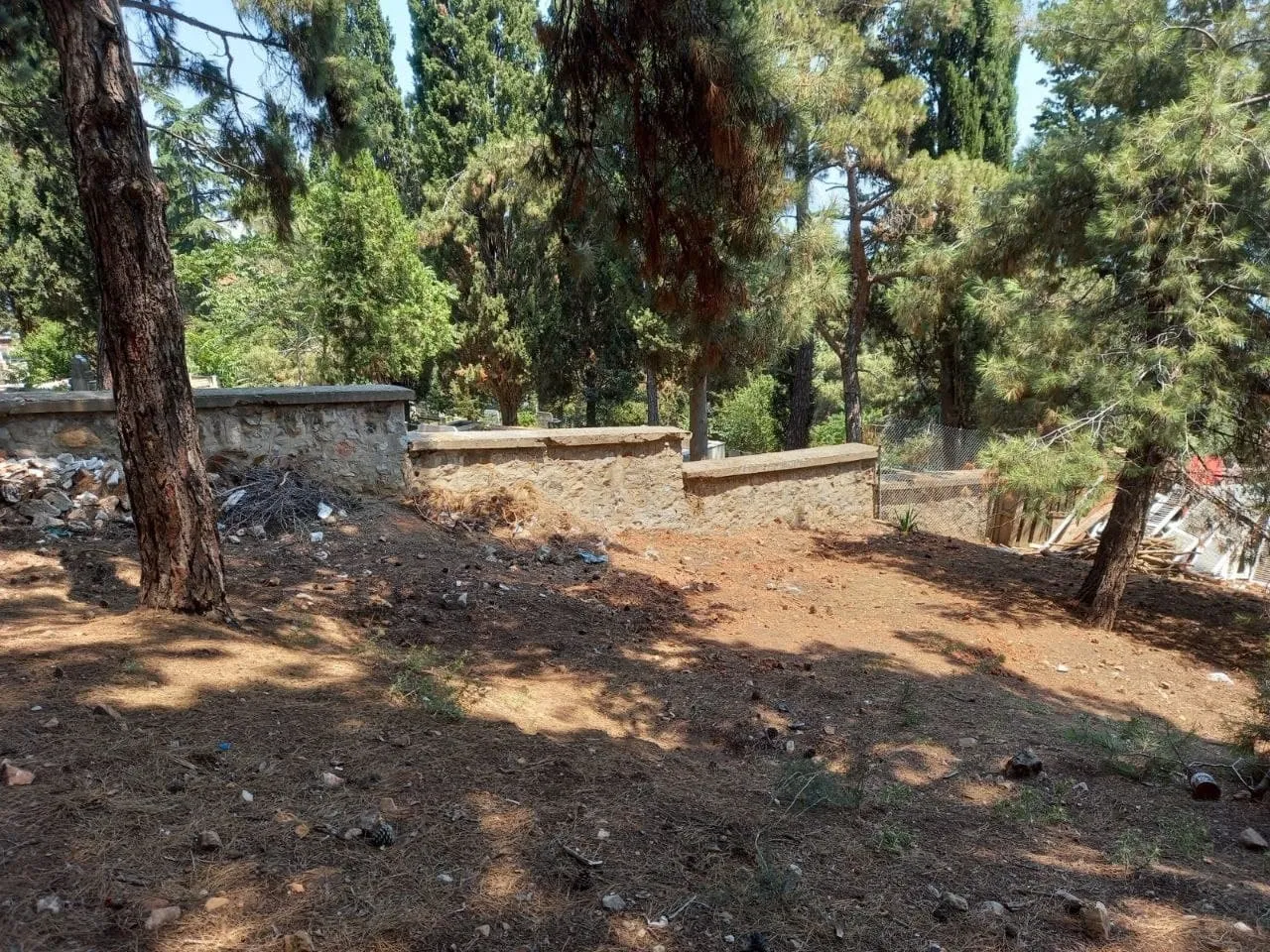 Büyükada'da defin yeri kalmadı! CHP'li İBB'den skandal çözüm: Kaçak mezarlık