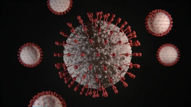 En ölümcül virüs hangisi? İşte corona virüsü gerçekleri