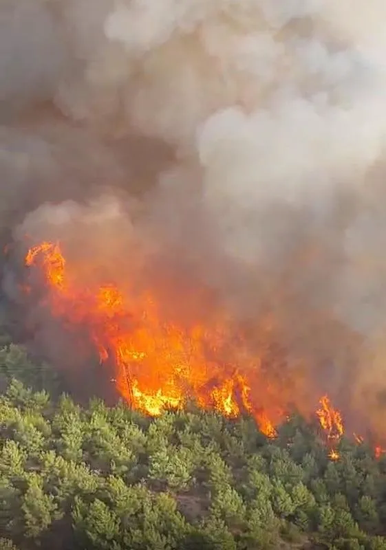 EKİPLERDEN YOĞUN MÜDAHALE