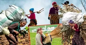 Karadeniz’in nemli ikliminde sinsi tehlike