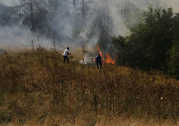 Adana'daki orman yangını kontrol altında