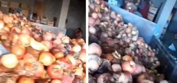 1605246851652.jpg Bakanlık harekete geçti! Mide bulandıran görüntü... - 1