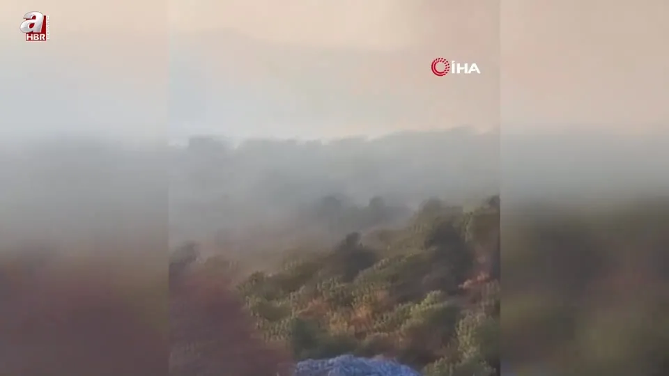 Sazlık alanda çıkan yangın ormana sıçradı