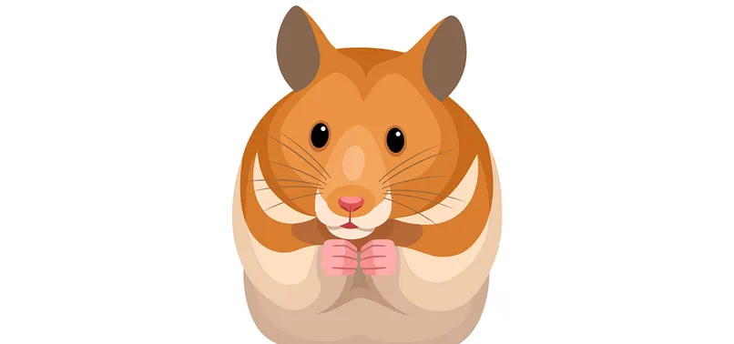 Hamster Coin nereden, nasıl alınır? Hamster Coin fiyatı ne kadar, kaç TL? Elon Musk duyurdu!