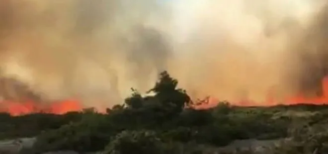 Son dakika: Çeşme Alaçatı’da orman yangını