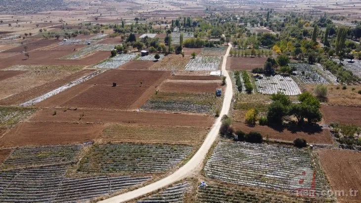 Konya’daki Çamlıca Mahallesi’nin kaderi değişti! Bir dönüm 15 bin lira kazandırıyor