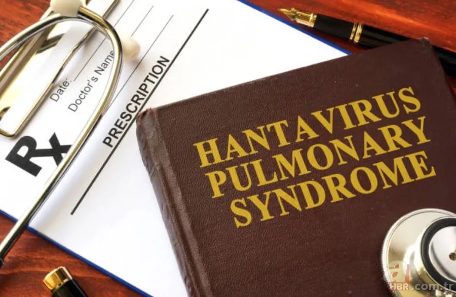 Yeni virüs mü çıktı? Hanta virüsü bulaşıcı mı? Hanta virüsü belirtileri nelerdir? Hantavirüs salgını var mı? 4