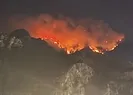 Orman yangını geceyi aydınlattı