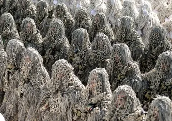 İran'da "savunma haftası" kutlamaları