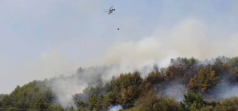 Antalya’da antik kent yakınında orman yangını