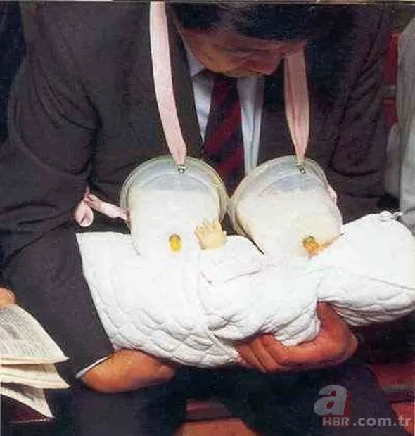 Ne işe yaradığını öğrenen şaşırıyor 24