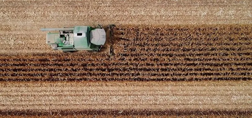 Mazot ve gübre desteği ne zaman yatacak 2023? Çiftçiye mazot ve gübre desteği yattı mı? Ziraat Bankası T.C ile sorgulama...