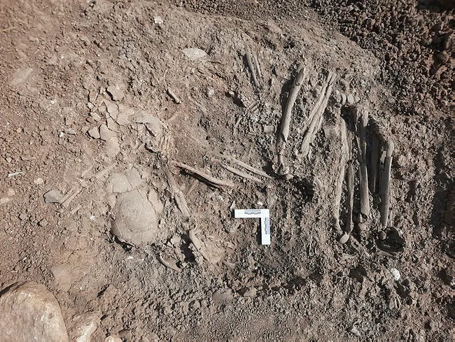 Mardin’de 12 bin yıllık tapınak gün yüzüne çıkarıldı