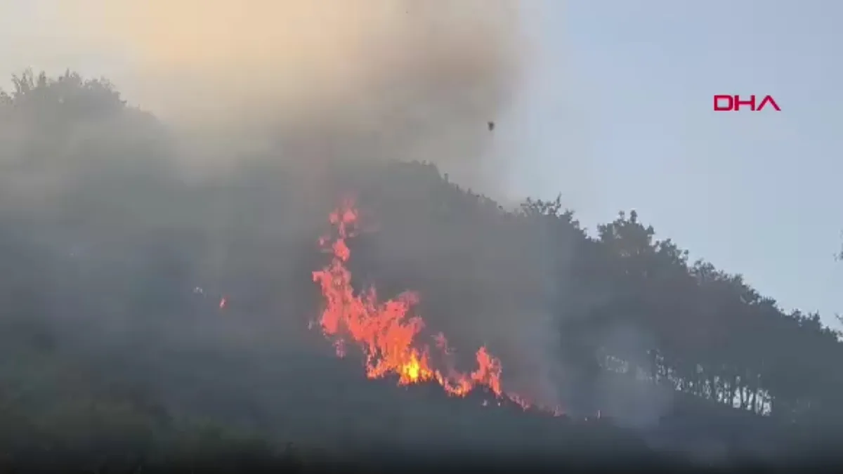 Bursa ve Yalova sınırındaki ormanlık alanda yangın: Alevler kontrol altında