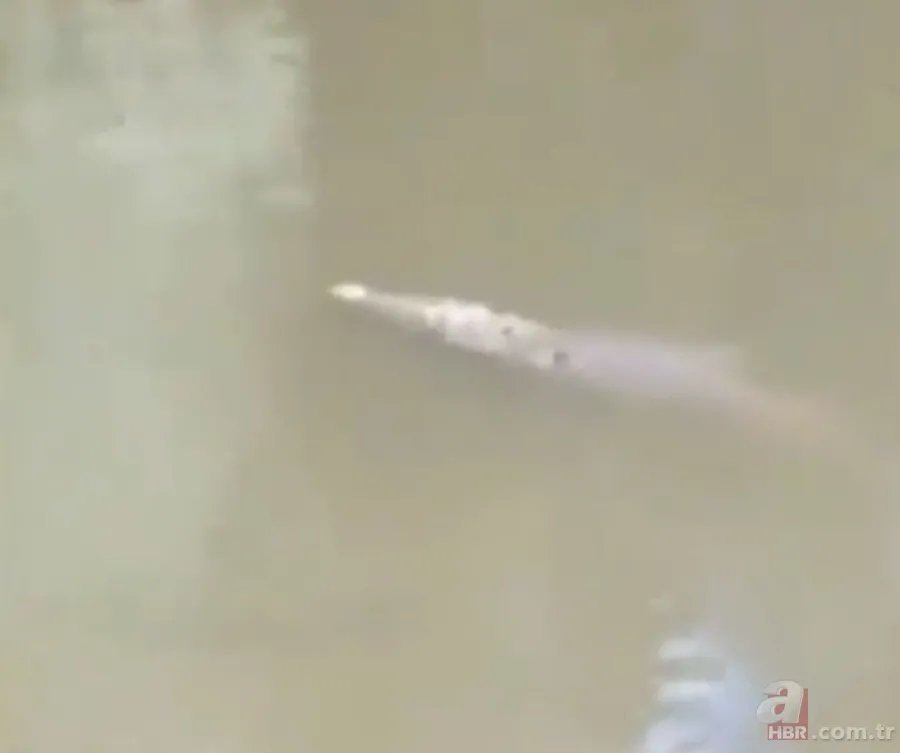 Gören şoke oldu! O ilimizde görüntülendi 7