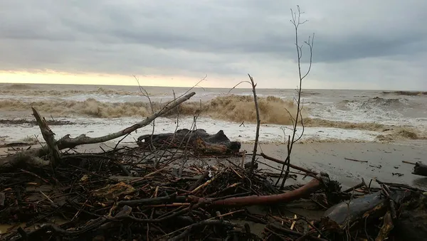 Sel bölgesinde son durum! Devlet tüm imkanlarıyla seferber oldu | Doğu Karadeniz’e flaş uyarı! Bakan Ali Yerlikaya duyurdu