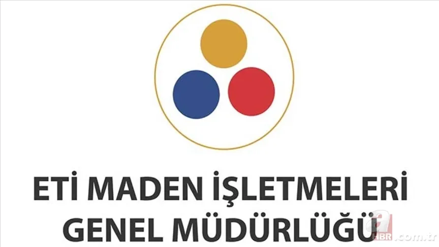 2024 yılının vergi rekortmenleri belli oldu! Selçuk Bayraktar zirvede 19