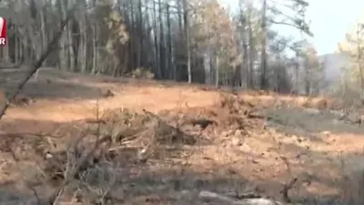 Harmancık’taki yangın kontrol altında