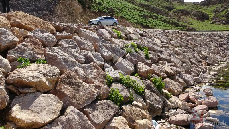 Arazide dolaşan vatandaş şoke oldu: Daha önce bu kadar kalabalık görüntülenmemişti 15