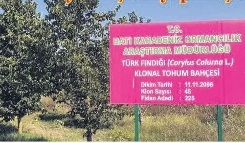 Tanju Özcan Bolu halkıyla alay etmiş! Konut yapma sözü verdiği tarlayı sattı - 4