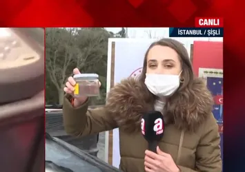 Son dakika: İstanbul'da uyuşturucu operasyonu! 9 ton uyuşturucu ham maddesi ele geçirildi