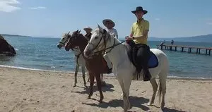 Plaja atla geldiler