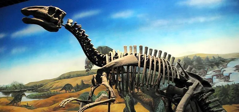 Bilim adamları diş döken dinozor türü keşfetti