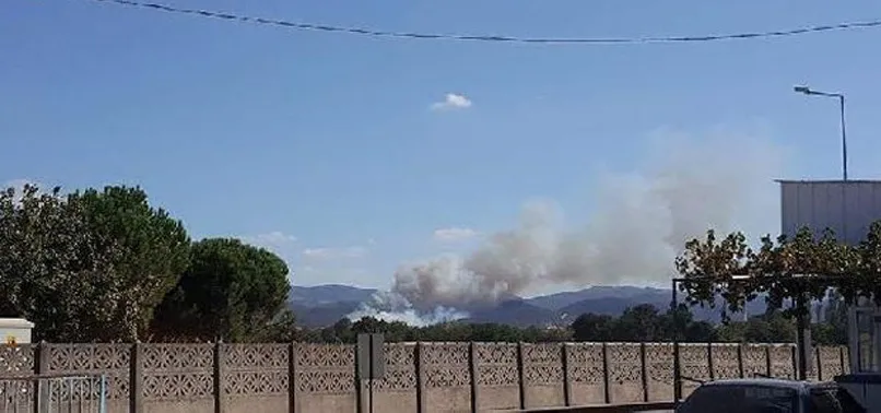 Biga'da orman yangını