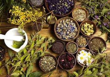 Dikkat! Her yıl 100 bin kişi yasaklı bitkilerden ölüyor