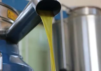 Zeytinyağında hileye dikkat! Bakın içine ne katıyorlar
