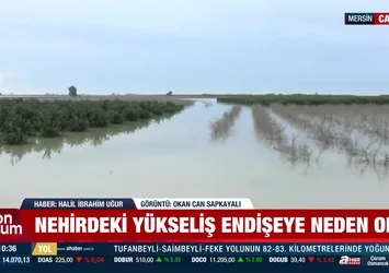 Çukurova risk altında mı?