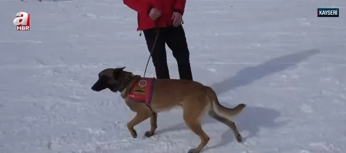jak-timleri-kayak-merkezlerinde-24-saat-gorevde-a-haber-calismalari-yerinde-goruntuledi-1739533778025.jpg A Haber ekran görüntüsü