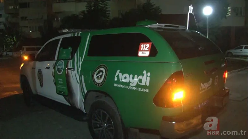 Antalya'da vahşet! Ağaca asılı halde bulundular 19