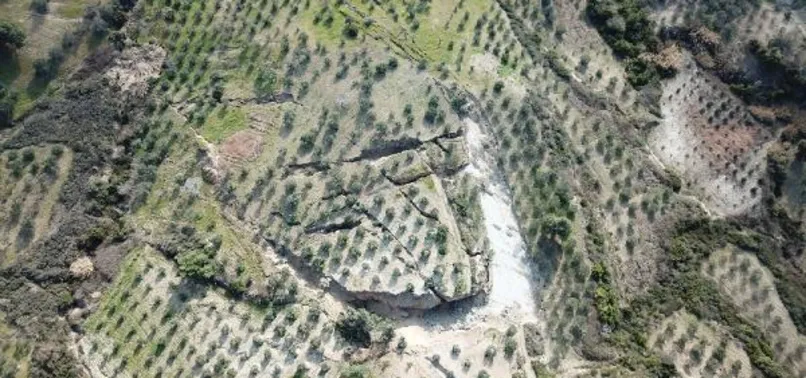 Hatay’da zeytin bahçesi ikiye bölündü! Ağaçlar toprağa gömüldü