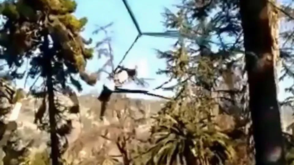 Çığlıklar yükseldi! Genç kızı bu halde...