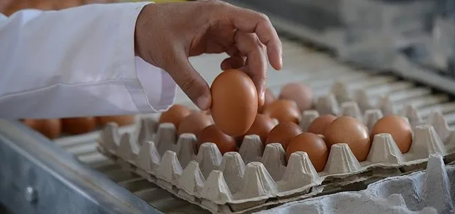 Aşırı tüketince başa bela oluyor! Fazla yumurta yemenin 5 tehlikeli yan etkisi...