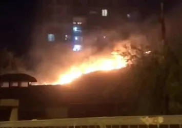 Pendik'te otluk alandaki yangın korkuttu