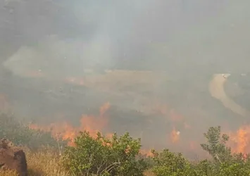 Son dakika: Bodrum'da makilik alanda yangın