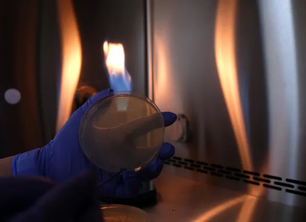 Bakan Koca açıkladı: İlk ben aşı olacağım