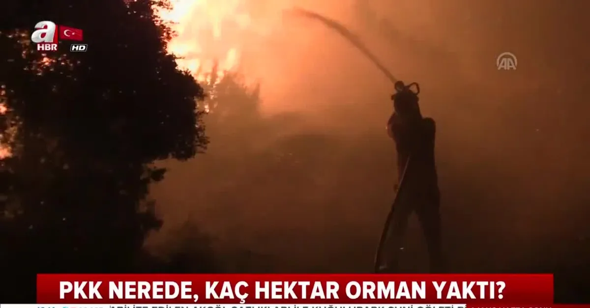 PKK ormanları neden yakıyor?