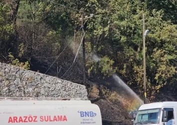 Zonguldak'ta ekipleri alarma geçiren yangın!