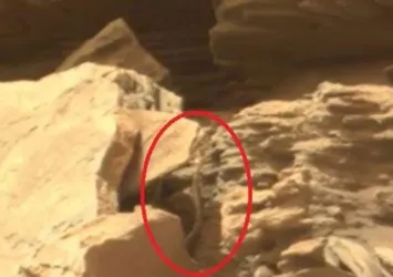 Mars'tan yılan görüntüsü geldi!