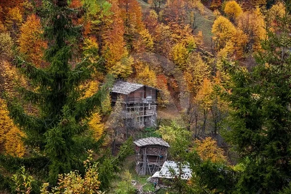 Sağlık Bakanı Fahrettin Koca illere göre haftalık vaka sayısını paylaştı! Hangi illerde vakalar azaldı? İşte haritalı son durum