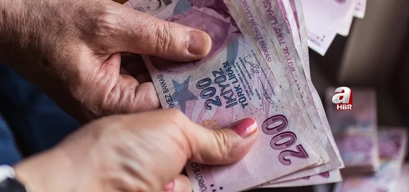 Aile Destek Programı ne zaman sonuçlanır? Aile Destek Programı başvuruları bitti mi, devam ediyor mu?