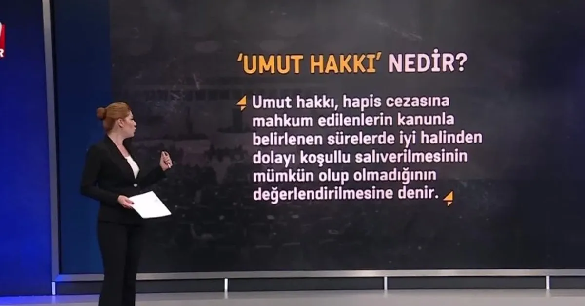 Bahçeli'nin bahsettiği 