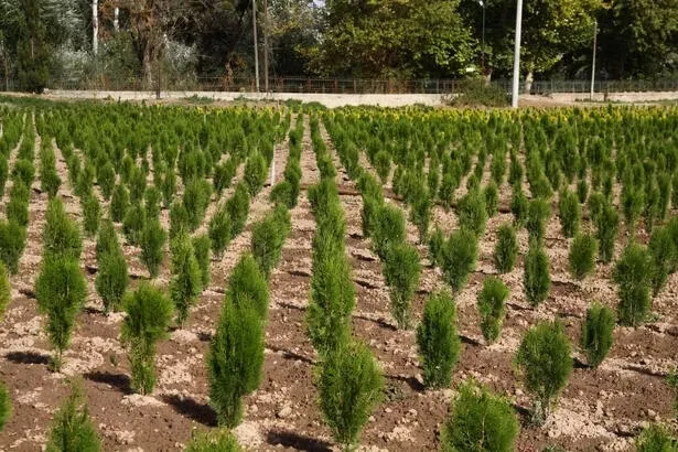 OGM işçi alımı başvuruları başladı mı, ne zaman başlayacak? OGM işçi alımı başvuruları nereden, nasıl yapılır? - 3