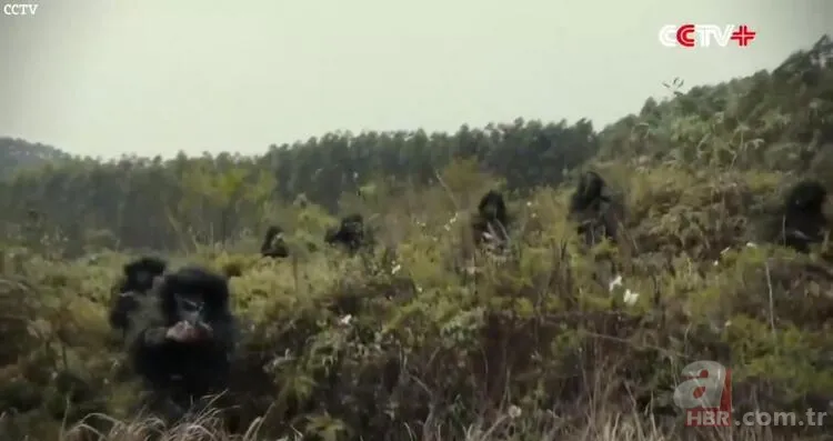 Çin'den flaş Tayvan hamlesi! Savaş jetleri havalandı! Dünya bu anları korkuyla izledi 14