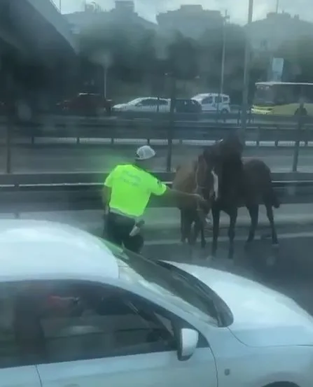 1694422755574.jpg Avcılar’dan Bakırköy’e kadar koştular! İstanbul'da ilginç görüntü: Trafiği birbirine kattılar - 1