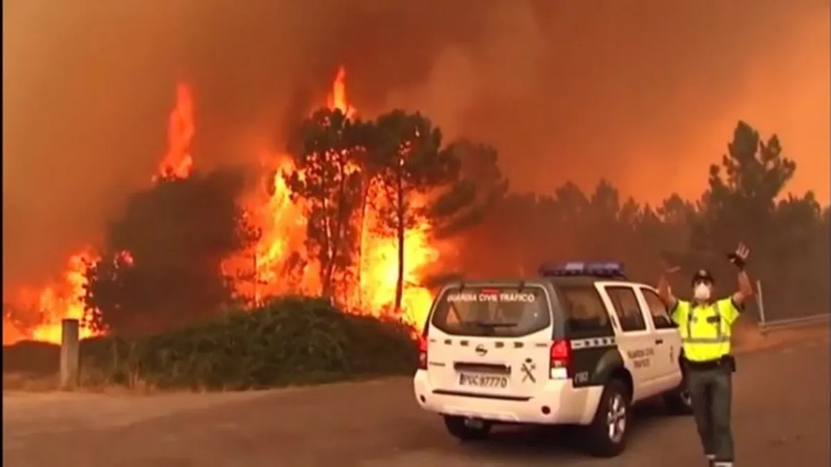 İspanya’da 14 noktada orman yangını: 7 ölü, 157 bin hektar kül oldu