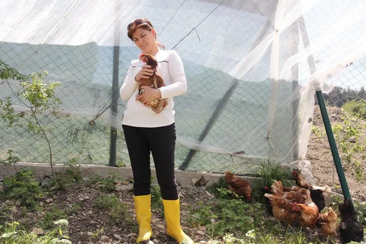 Çocuğunun yumurta alerjisi, anneye tavuk çiftliği kurdurdu